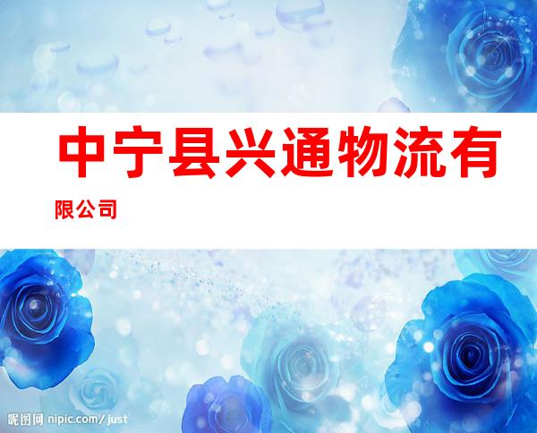 中宁县兴通物流有限公司