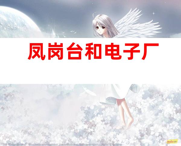 凤岗台和电子厂