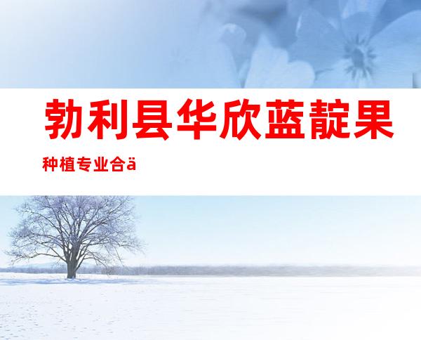 勃利县华欣蓝靛果种植专业合作社