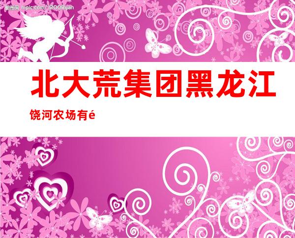 北大荒集团黑龙江饶河农场有限公司