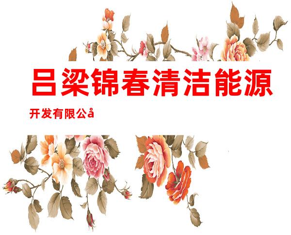 吕梁锦春清洁能源开发有限公司