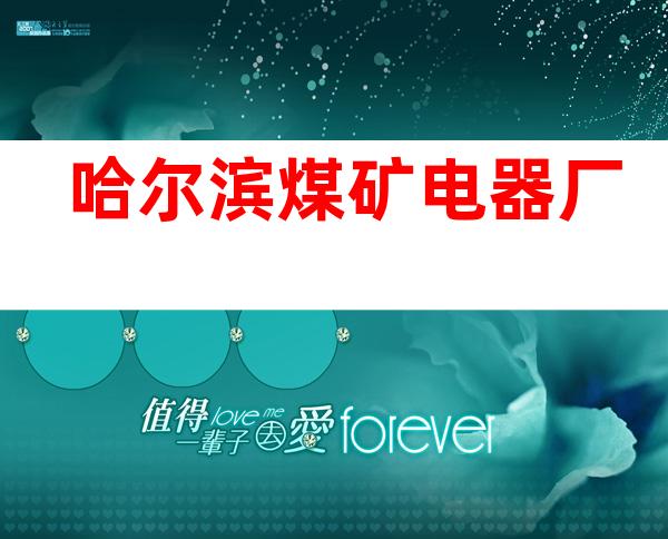 哈尔滨煤矿电器厂