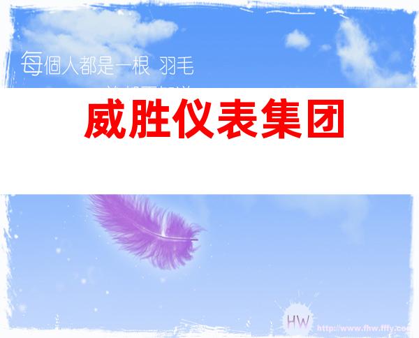 威胜仪表集团