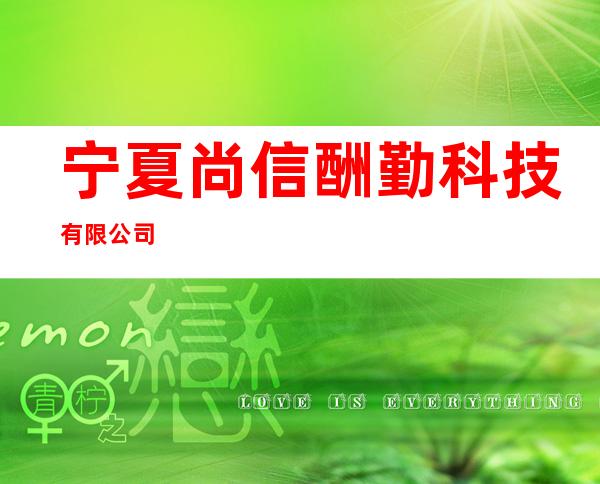 宁夏尚信酬勤科技有限公司