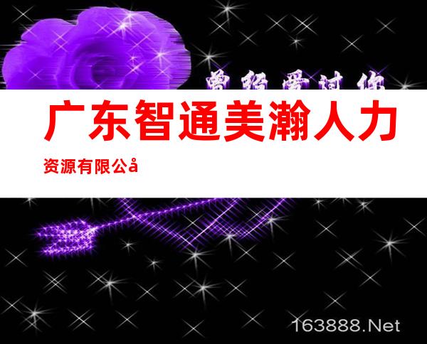 广东智通美瀚人力资源有限公司