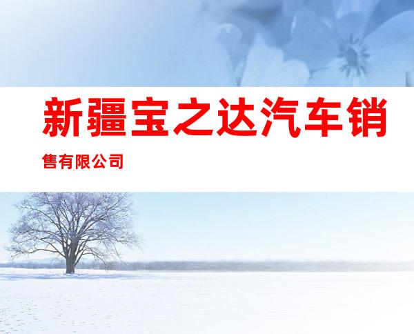 新疆宝之达汽车销售有限公司