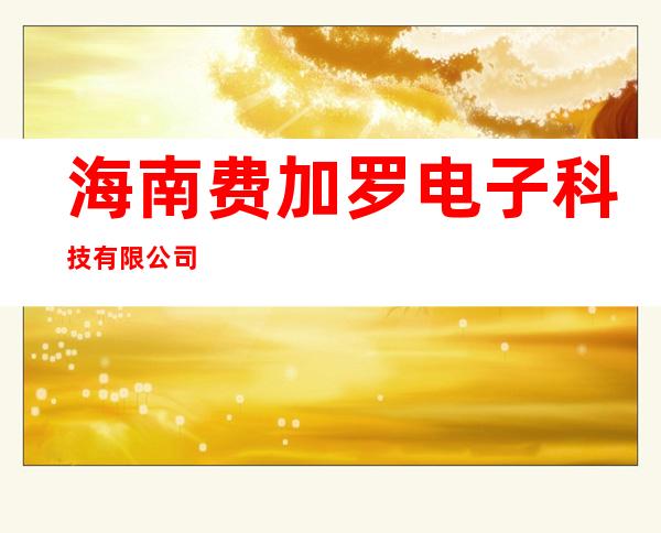 海南费加罗电子科技有限公司