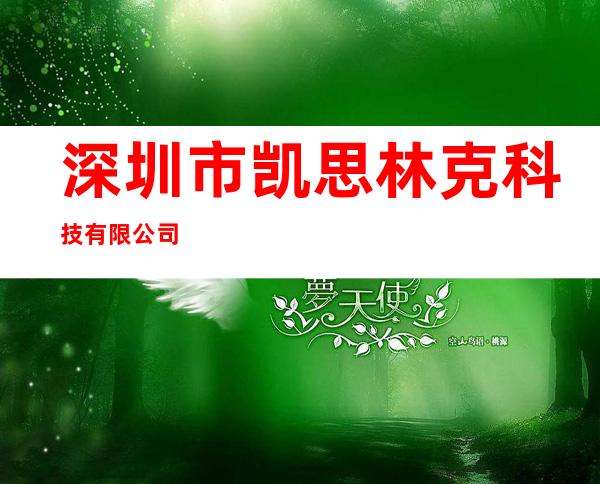深圳市凯思林克科技有限公司