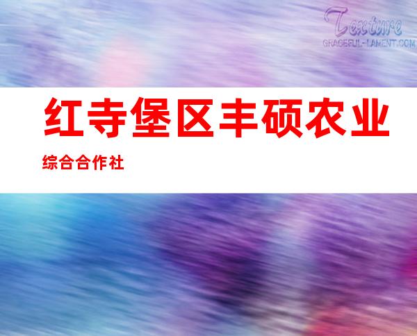 红寺堡区丰硕农业综合合作社