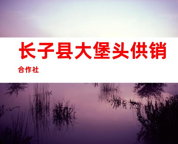 长子县大堡头供销合作社